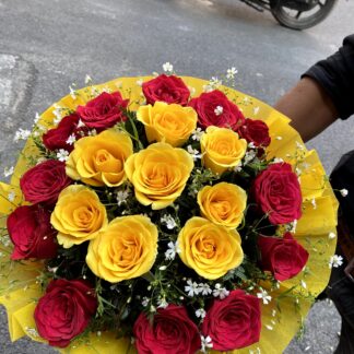 Red n Yellow Combo