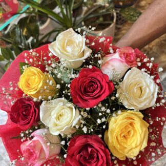 Mix Roses