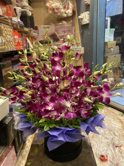 Purple Orchids Beauty-By PGA