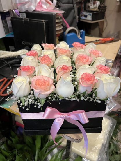White n Jumelia Pink Box