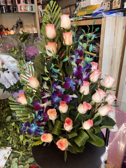 Blue n Pink Beauty