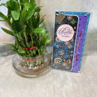 Rakhi n Bamboo