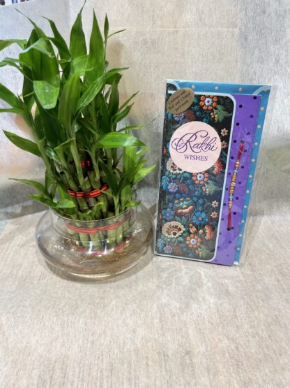Rakhi n Bamboo