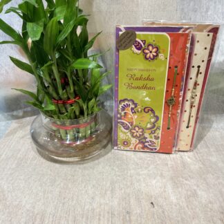 Rakhi n Bamboo plant