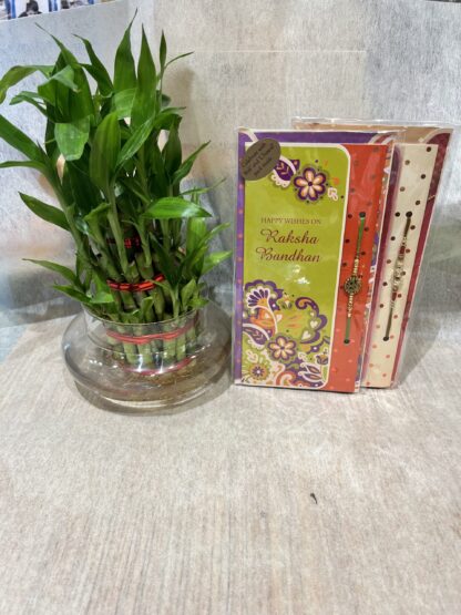 Rakhi n Bamboo plant