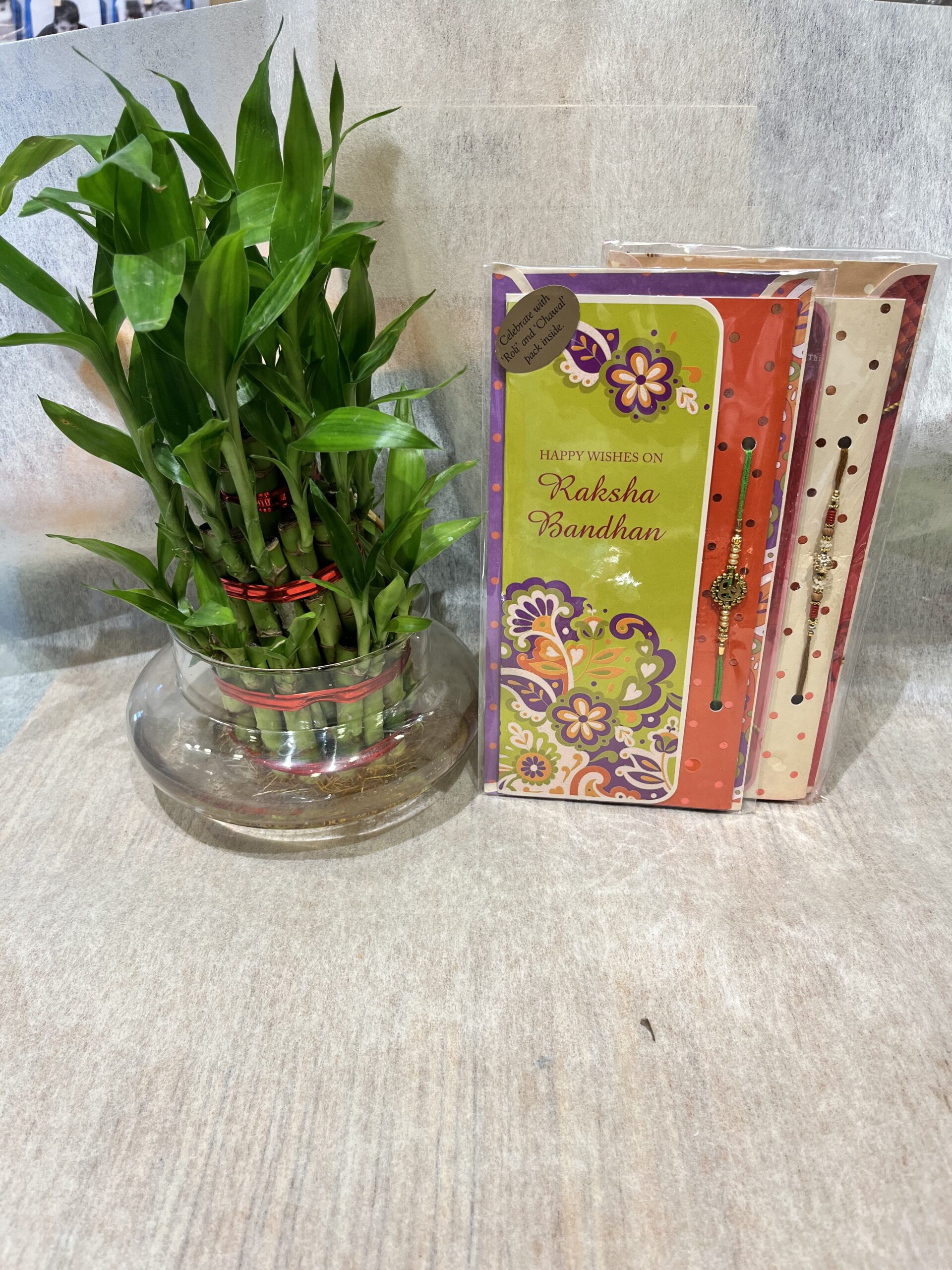 Send lucky bamboo plant gifts to Kolkata, Free Delivery -  KolkataOnlineFlorists