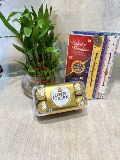 Bamboo Plant & Rakhi & Chocolates