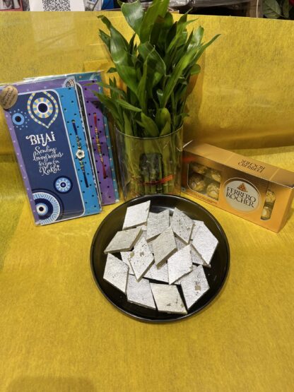 2 Rakhi Sweets Chocolates &Bamboo Plant