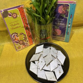 Plant Rakhi & Sweets