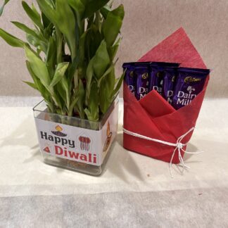Good luck Plant n Dairy Milk