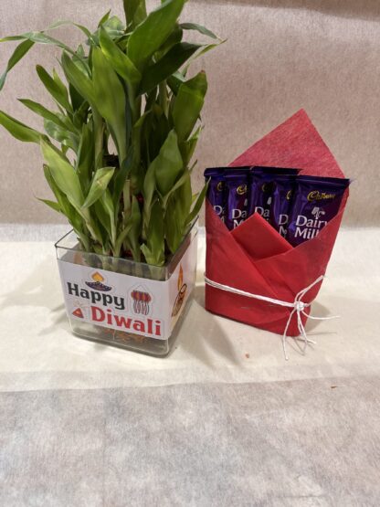 Good luck Plant n Dairy Milk