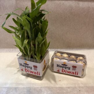 Three Layer Bamboo Plant n Rocher Box
