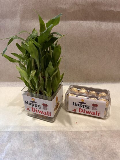 Three Layer Bamboo Plant n Rocher Box