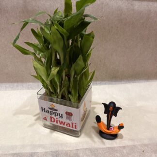Bamboo Plant with Ganesha Idol
