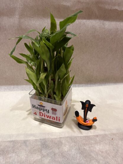 Bamboo Plant with Ganesha Idol