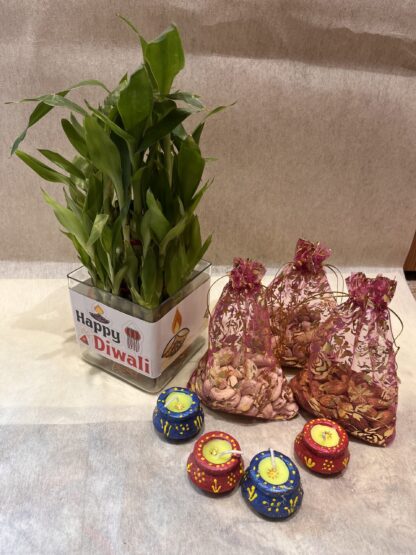 Good-Luck Plant-Mix Dry fruits-Diyas