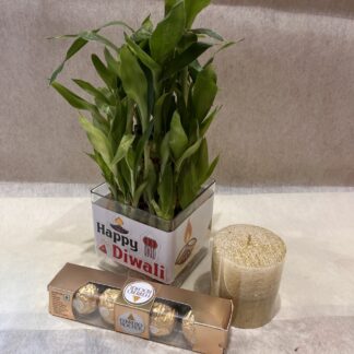 Good-Luck Plant-Candle-Ferrero Rochers