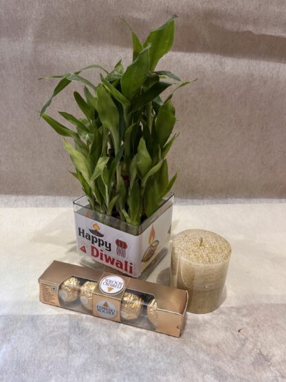 Good-Luck Plant-Candle-Ferrero Rochers