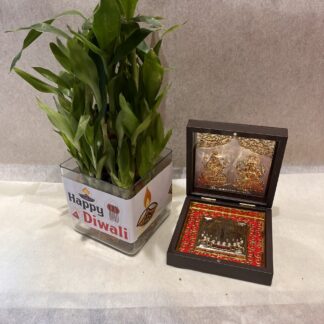 Good-Luck Plant n Pooja Box