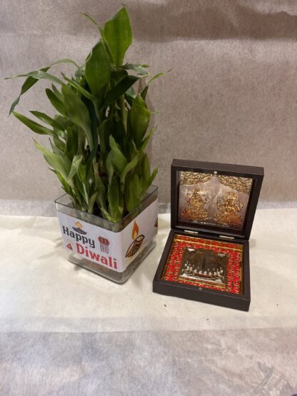 Good-Luck Plant n Pooja Box