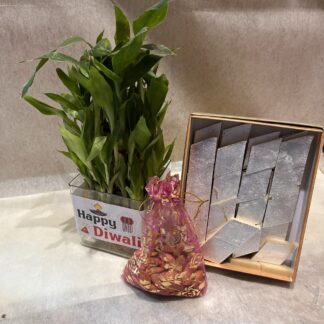 Lucky Bamboo Plant-Sweets-Almonds