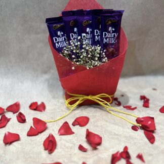 5pc Dairy milk- 23gm Each(With Packing)