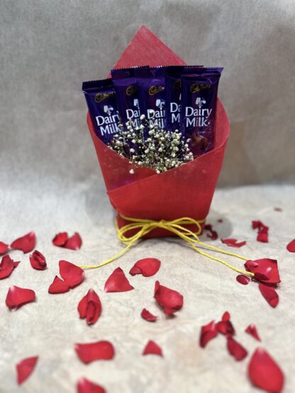 5pc Dairy milk- 23gm Each(With Packing)