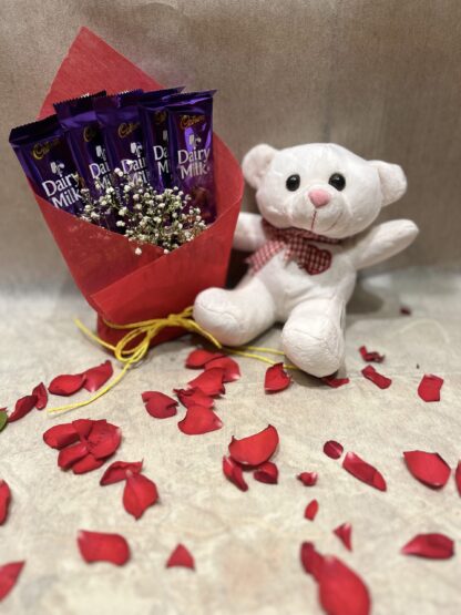 Teddy N Chocolates Combo