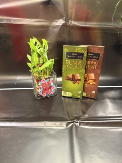 Good Luck Plant With Cadbury's Chocolate