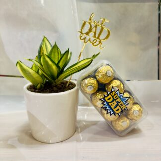 Ferrero Rocher & Plant Combo For Dad