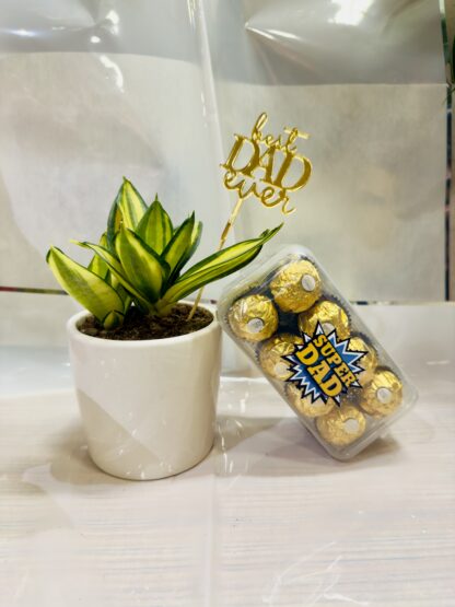 Ferrero Rocher & Plant Combo For Dad
