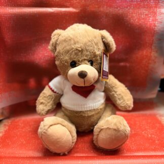 Brown Teddy Bear in Red T-Shirt