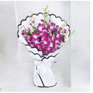 Majestic Purple Orchid Blooms