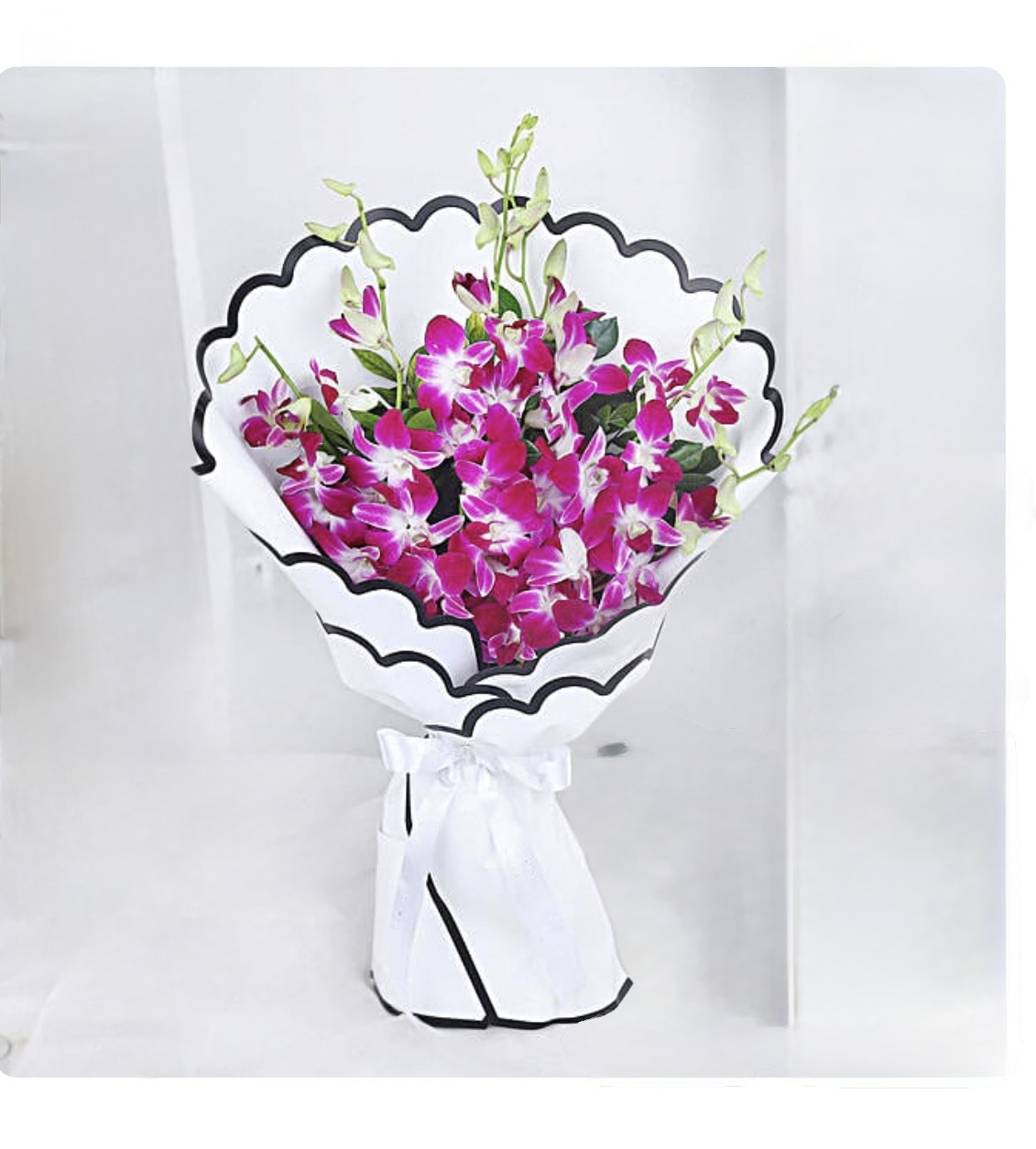 Majestic Purple Orchid Blooms