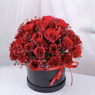 Premium Box Of Red Rosy