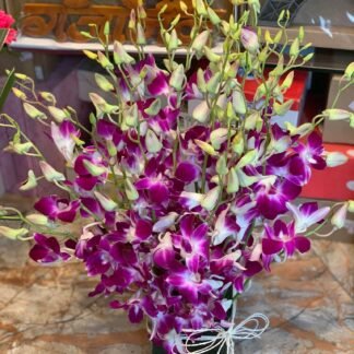 Opulent Orchids