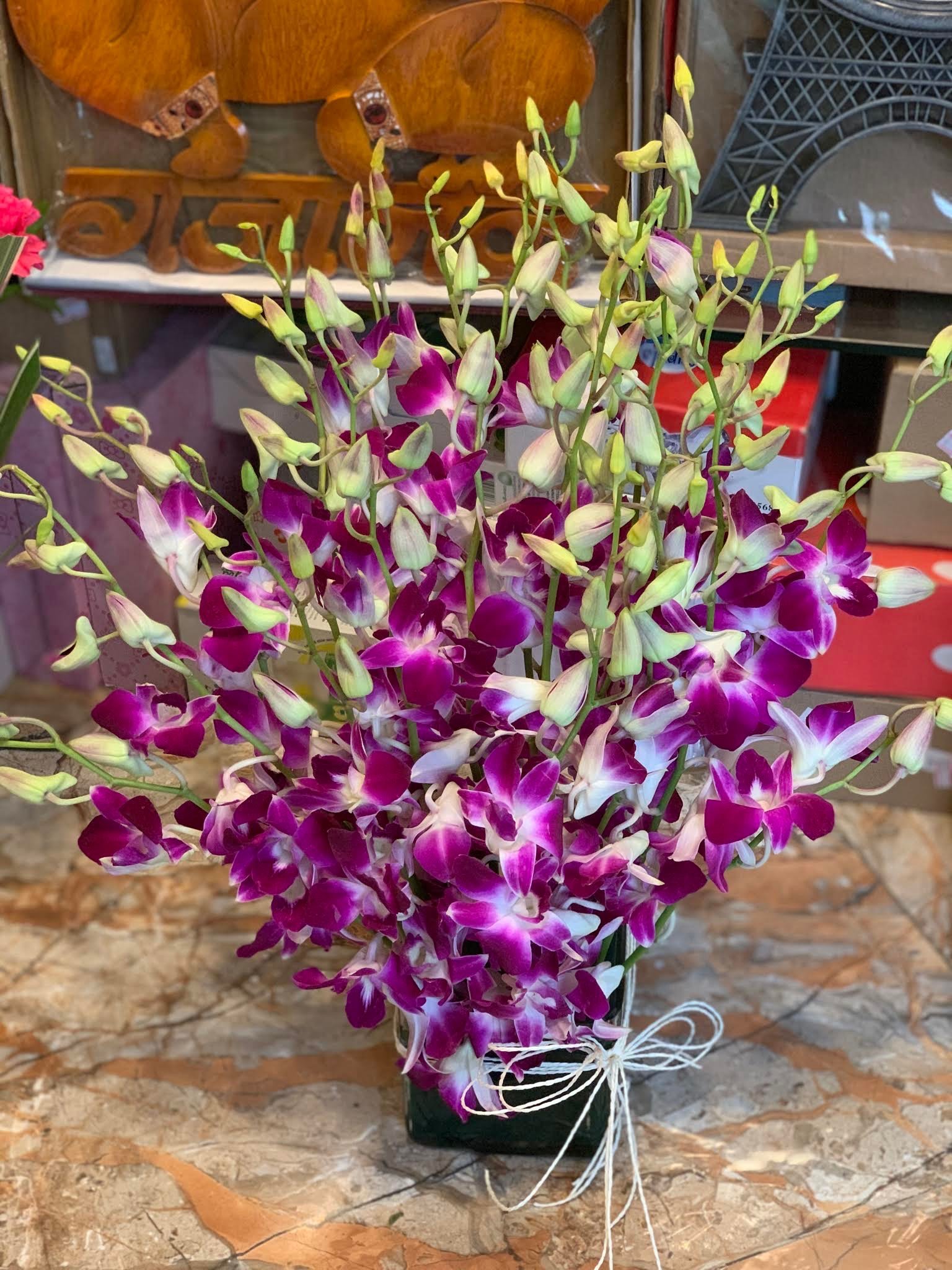 Opulent Orchids