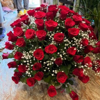 Deep Love(100 Red Roses)