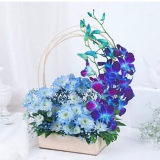 Perfect Blue Delight Only
