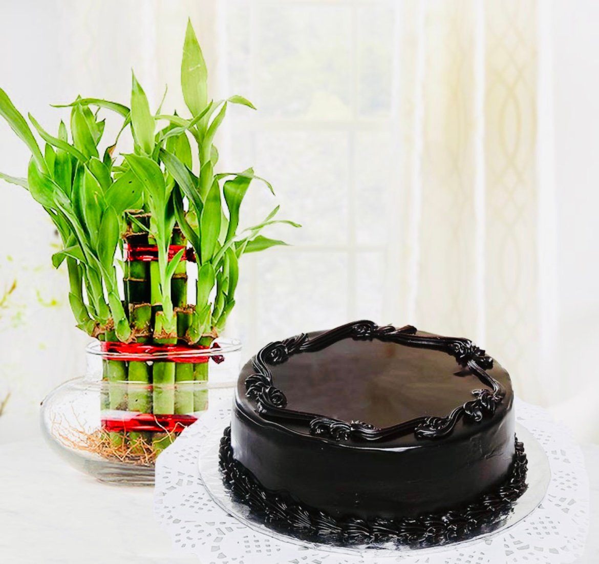 Dark Chocolate Cake n Bamboo