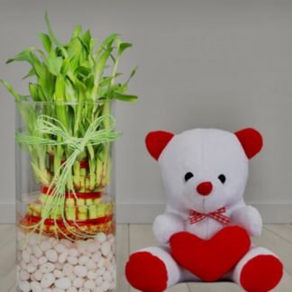 Lucky Bamboo n Teddy