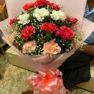 Mix Carnations