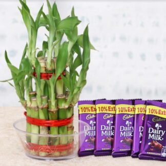 2 Tier Bamboo n Chocolates Combo