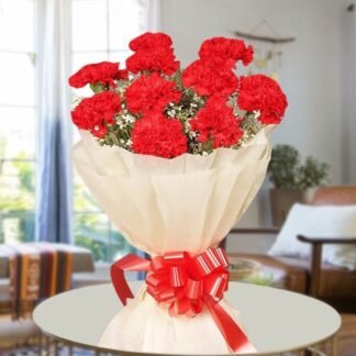 10 Red Carnations Bunch