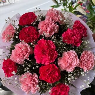 Mix Pink Carnations Bunch