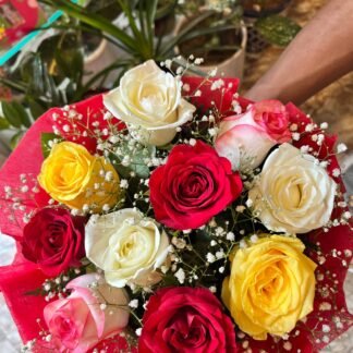 Mix Roses