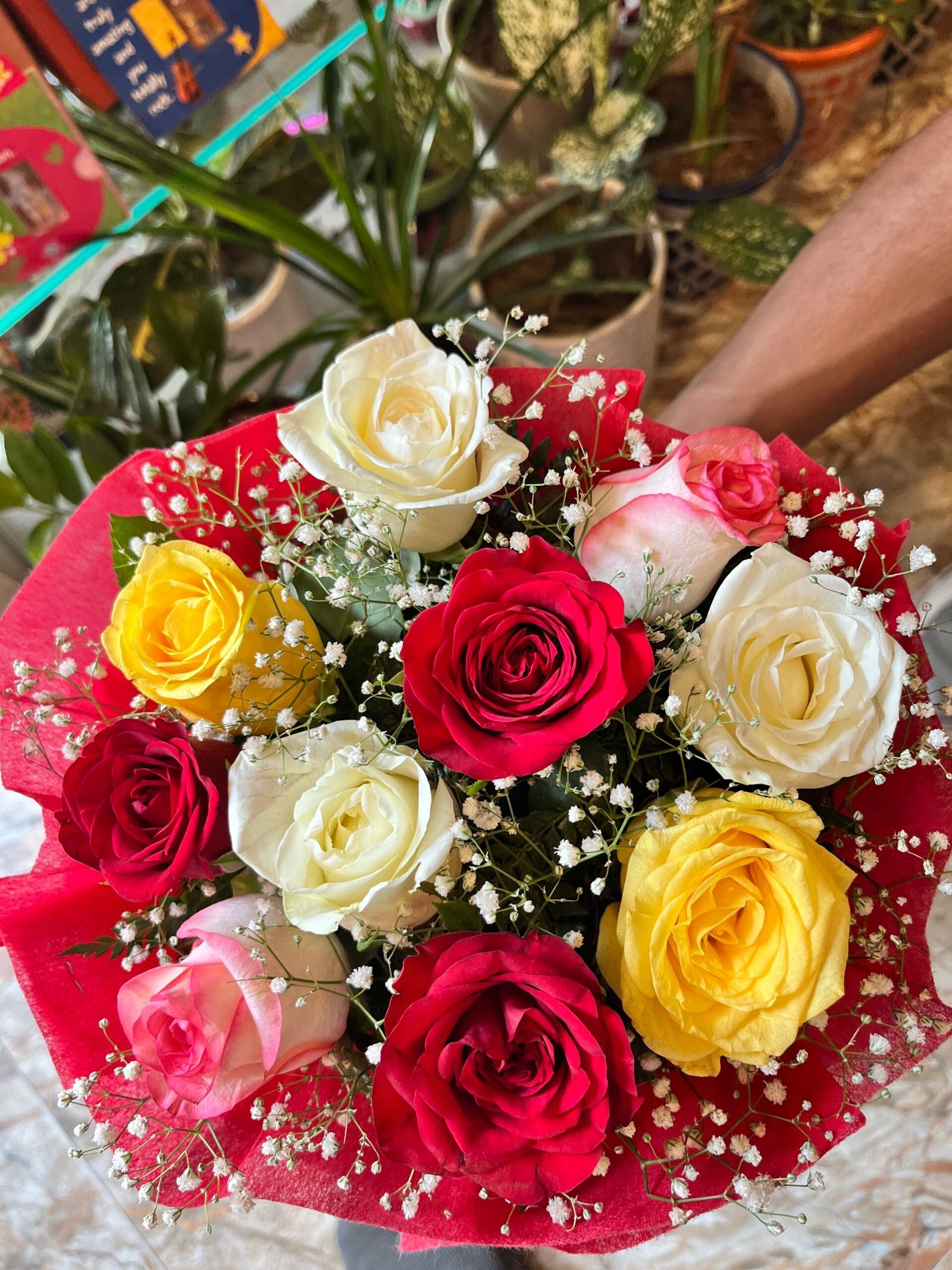 Mix Roses