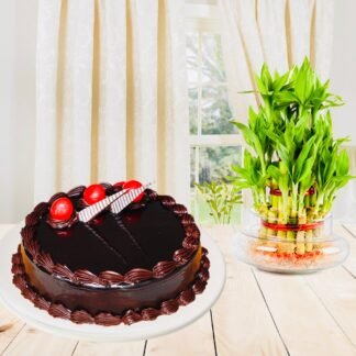 Bamboo N Cake