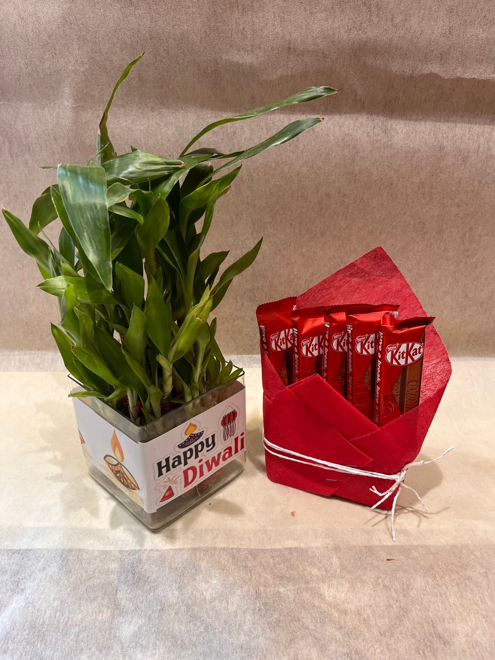 Bamboo Plant n Kitkat