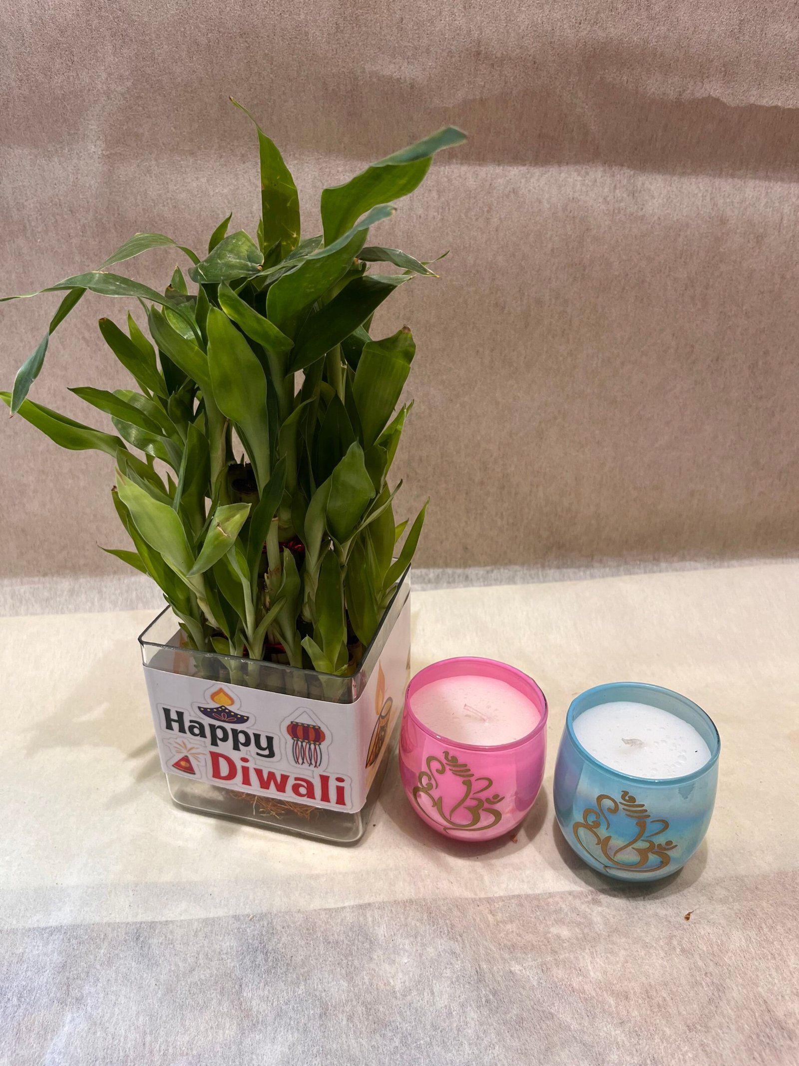Good-Luck Bamboo Plant n 2 Scented Candles